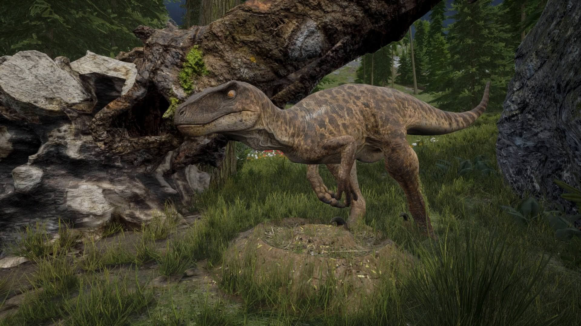 A juvenile carnivore beside a fallen tree