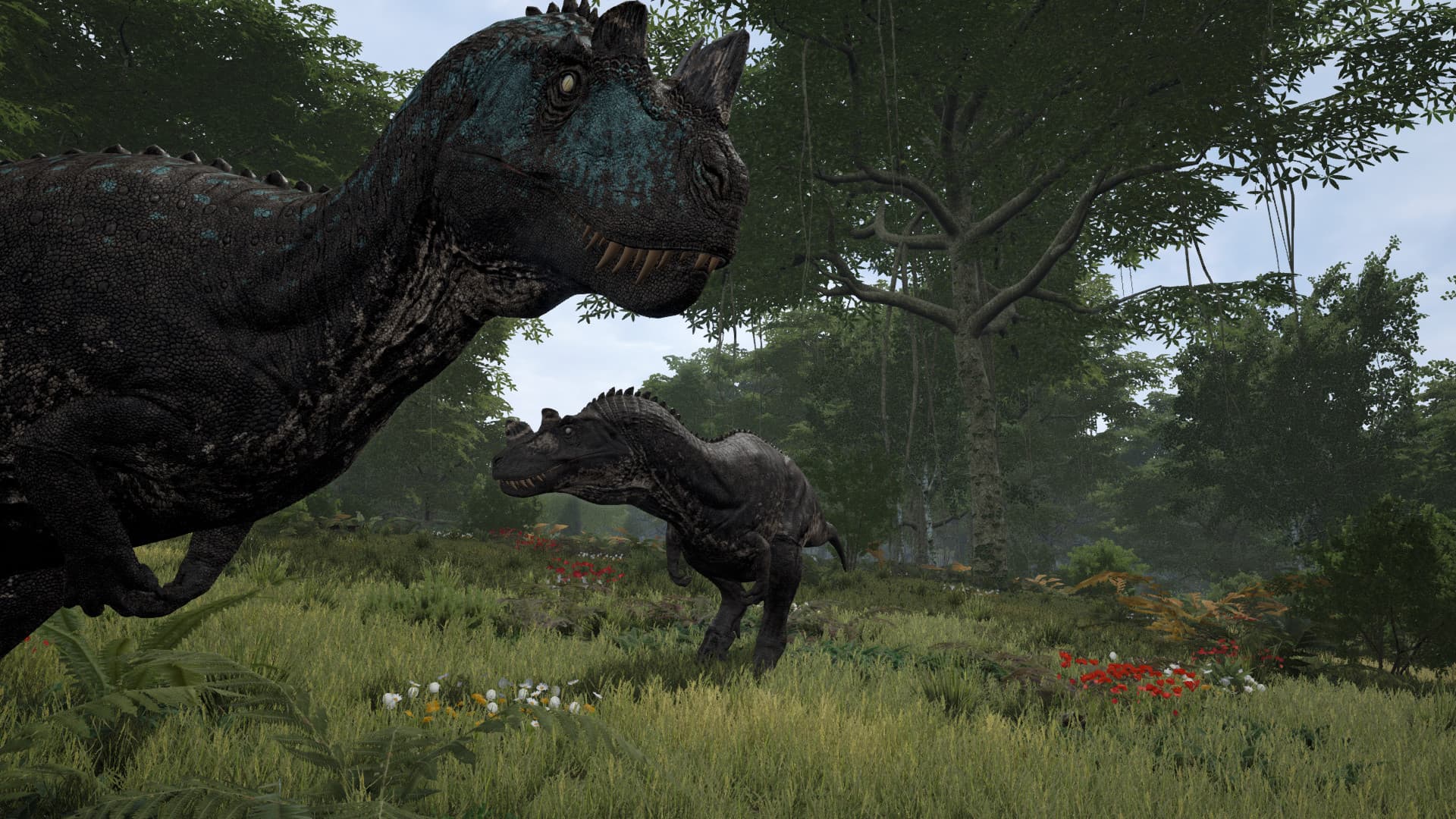 Two carnivores facing each other in dense forest
