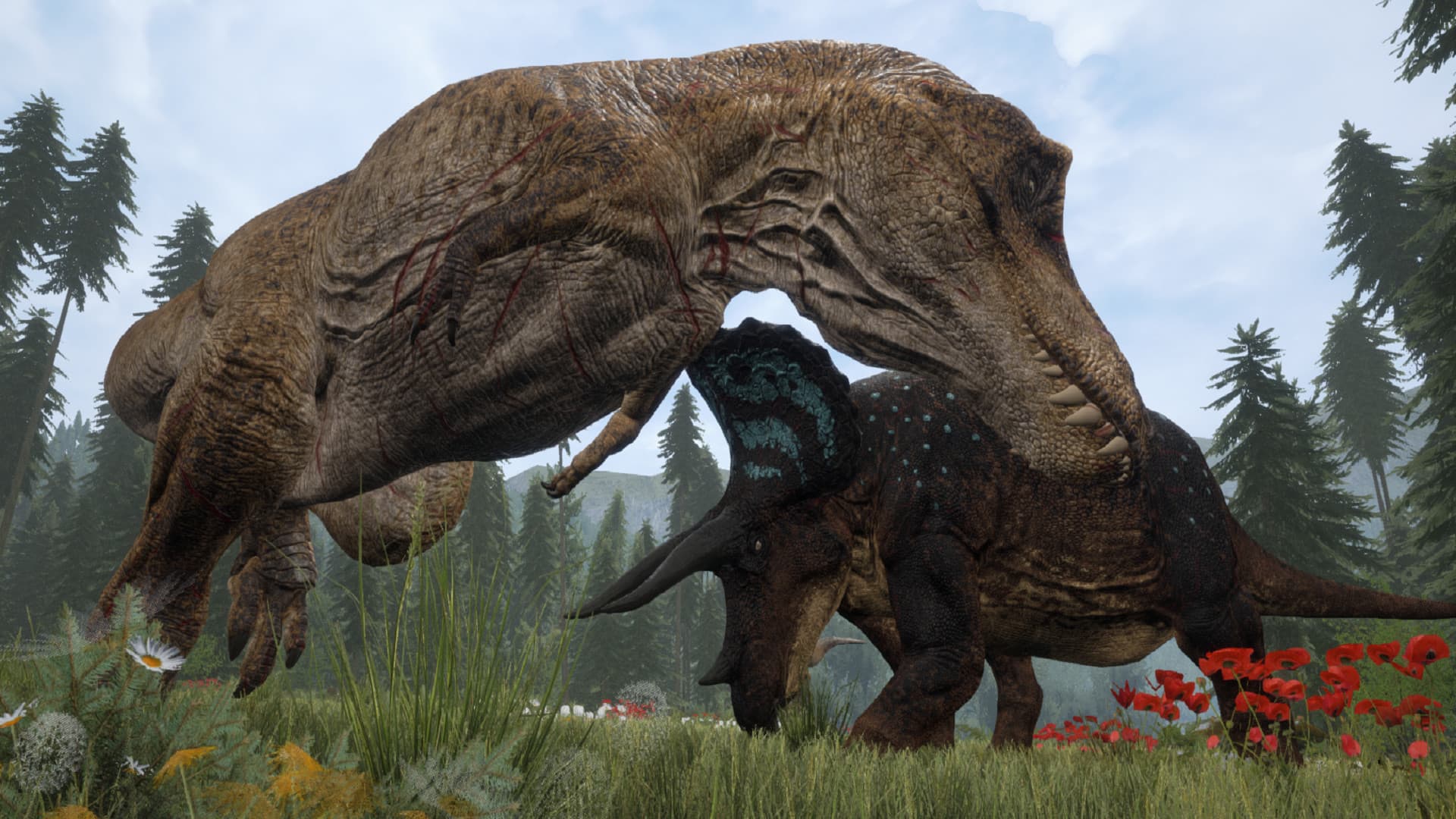 Two large carnivores meeting on open ground